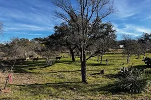 Lot 152 & 153 County Road 128, Burnet, TX 78611 - Photo 24