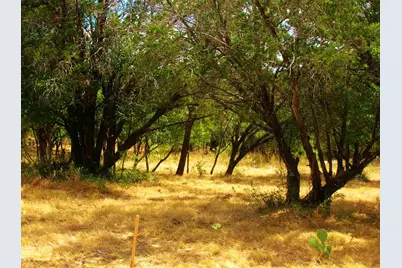 737 Birch 8 Lots All Together, Cottonwood Shores, TX 78657 - Photo 4