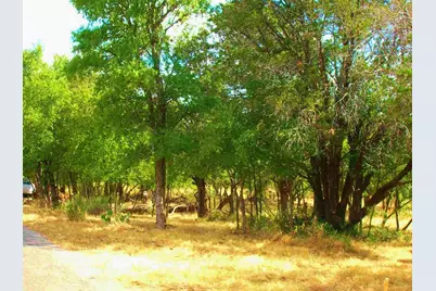 735 Birch (4Lots Street To Street) Lane, Cottonwood Shores, TX 78657 - Photo 1