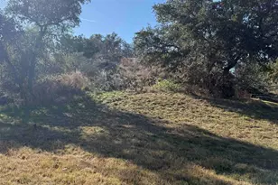 185 Roadrunner Ln, Buchanan Dam, TX 78611 - Photo 30