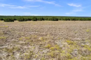 119 Longview Dr, Lampasas, TX 76550 - Photo 14