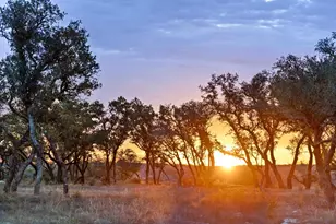 1422-33 Rm 2766, Johnson City, TX 78636 - Photo 1