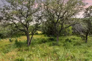 2308 Co Rd 414, Spicewood, TX 78669 - Photo 24