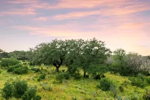 2308 Co Rd 414, Spicewood, TX 78669 - Photo 4