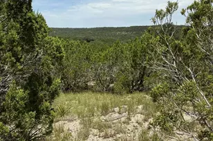 Lot 249 Woodhollow Dr, Bertram, TX 78605 - Photo 16