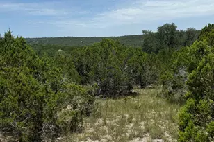 Lot 249 Woodhollow Dr, Bertram, TX 78605 - Photo 12