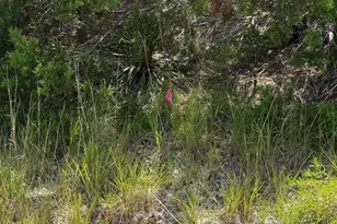 Lot 249 Woodhollow Dr, Bertram, TX 78605 - Photo 10