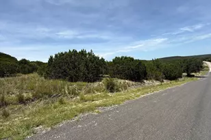 Lot 249 Woodhollow Dr, Bertram, TX 78605 - Photo 6