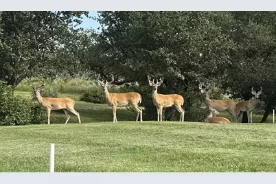 501 Bumpy Ridge Dr, Burnet, TX 78611 - Photo 30