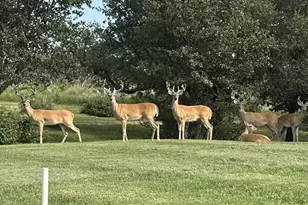 501 Bumpy Ridge Dr, Burnet, TX 78611 - Photo 30