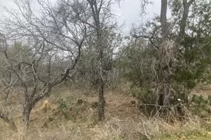 Cedarhill, Granite Shoals, TX 78654 - Photo 2