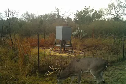 12759 S Highway 16, Llano, TX 78643 - Photo 28