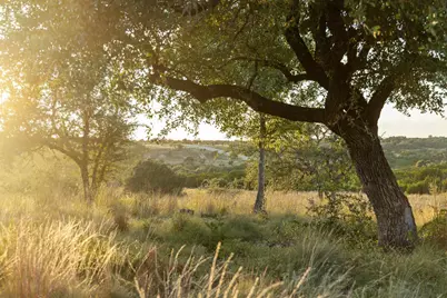 68 Leaning Madrone Drive, Johnson City, TX 78636 - Photo 28