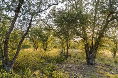 68 Leaning Madrone Drive, Johnson City, TX 78636 - Photo 22