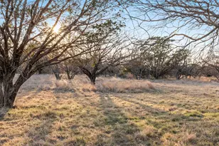 18239 W Fm 580, Lometa, TX 76853 - Photo 30