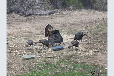 180 Robison Road, Bertram, TX 78605 - Photo 10