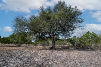 Tbd Burnet Oaks Lot 20, Burnet, TX 78611 - Photo 8