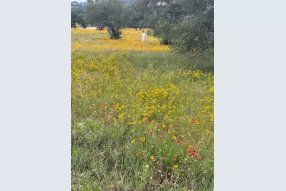 100 Ridge, Horseshoe Bay, TX 78657 - Photo 14