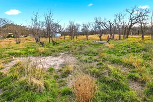 1304 Shady Forest Dr, Granite Shoals, TX 78654 - Photo 4