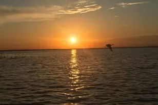 206 S Chaparral, Burnet, TX 78611 - Photo 30