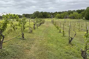 171 Cr 117, Llano, TX 78643 - Photo 34
