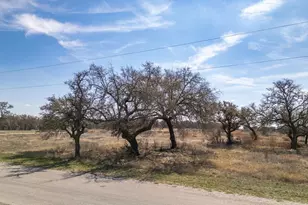 100 S Waterbuck Wy, Lampasas, TX 76550 - Photo 12
