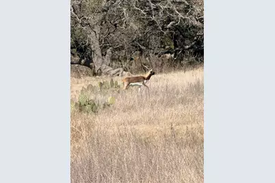 Tbd Blackbuck Ridge Dr. Lot 181, Lampasas, TX 76550 - Photo 22