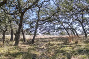 Tbd Blackbuck Ridge Dr Lot 181, Lampasas, TX 76550 - Photo 8