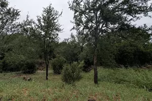 1106 Monterrey Oak Cir, Marble Falls, TX 78654 - Photo 4