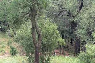 1106 Monterrey Oak Cir, Marble Falls, TX 78654 - Photo 2