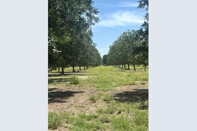 708 W Gunter Street, San Saba, TX 76871 - Photo 8