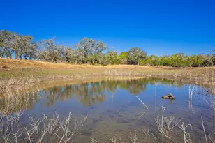 4772 Cr 340 Rd, Burnet, TX 76905 - Photo 20