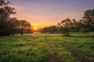 4772-2 County Road 340, Burnet, TX 76905 - Photo 6