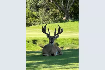 Lot 71 Encantada - Escondido, Horseshoe Bay, TX 78657 - Photo 12