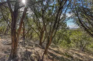 1007 Ed Low Dr, Burnet, TX 78611 - Photo 4