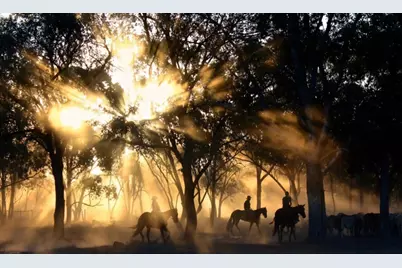 207 N Calvin Barrett, Blanco, TX 78606 - Photo 16