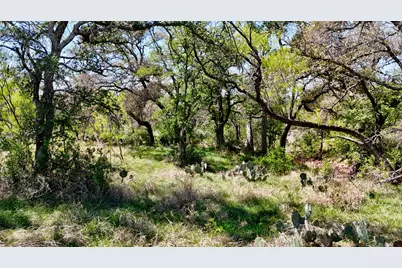 Tbd Fm 2233, Sunrise Beach, TX 78643 - Photo 14