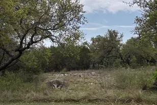 Lot 10 Fox Horn Circle, Marble Falls, TX 78654 - Photo 1