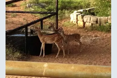Escalar Drive, Llano, TX 78643 - Photo 20