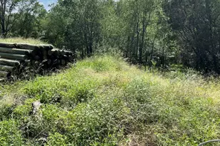 715 Silver North St, Burnet, TX 78611 - Photo 8