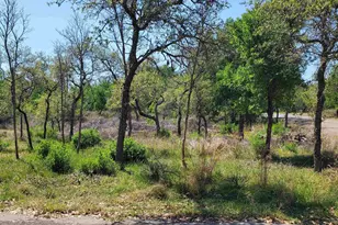 Lot 459-B Oakwood Dr, Granite Shoals, TX 78654 - Photo 2