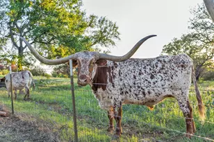 310 The Hills Rd, Horseshoe Bay, TX 78657 - Photo 26