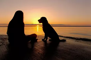 106 Chuckwagon, Burnet, TX 78611 - Photo 28