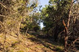 1188 Crown Ln, Burnet, TX 78611 - Photo 14