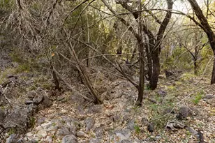 1188 Crown Ln, Burnet, TX 78611 - Photo 8