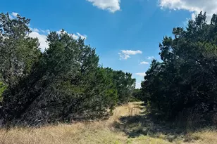 Cr 334 & Cr 336, Bertram, TX 78605 - Photo 10