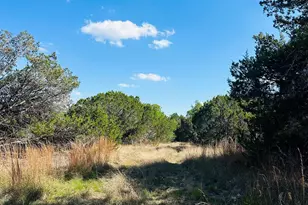 Cr 334 & Cr 336, Bertram, TX 78605 - Photo 2