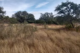 Saddle Ridge Dr Dr, Bertram, TX 78605 - Photo 12