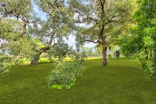 1008 Naumann Dr Dr, Granite Shoals, TX 78654 - Photo 28