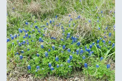 Tbd Luckenbach West Street, Llano, TX 78643 - Photo 6